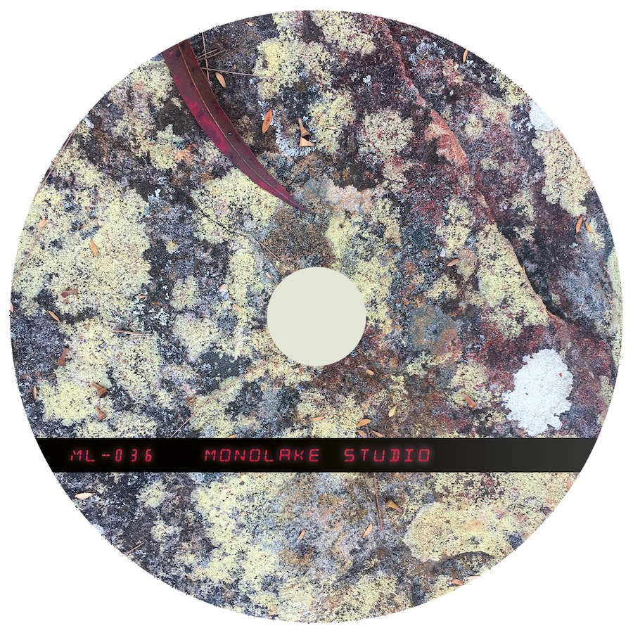 Monolake - Studio CD label